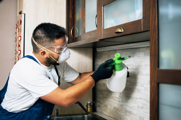 Wasp Removal Services in Mclendon Chisholm, TX