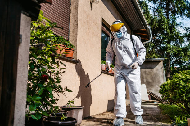 Best Ant Control Services  in Mclendon Chisholm, TX