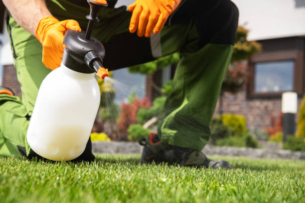 Best Rat Extermination Near Me  in Mclendon Chisholm, TX