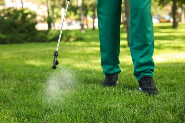 Best Affordable Pest Control Services  in Mclendon Chisholm, TX