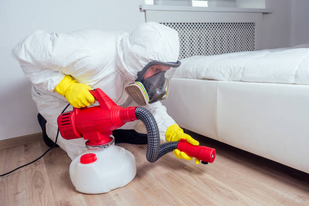 Best Rat Extermination Near Me  in Mclendon Chisholm, TX