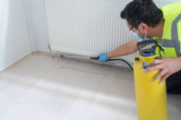 Best Pest Control Near Me  in Mclendon Chisholm, TX