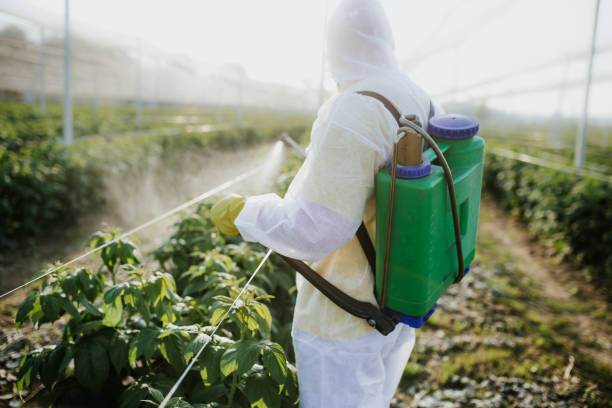 Pest Control for Restaurants in Mclendon Chisholm, TX